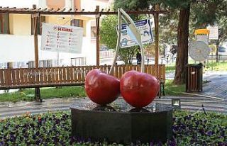 Odunpazarı’ndan Vişnelik Mahallesi’ne “Vişne...