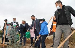 Öğrenciler, 760 bin tohumu toprakla buluşturacak