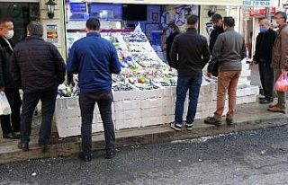 Ordu’da balıkçı tezgahları şenlendi, vatandaşlar...