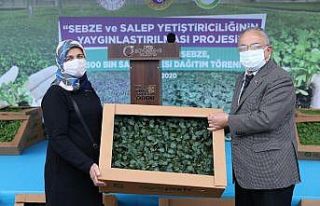 Ordu’da salep atağı