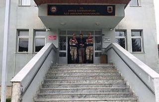 Ordu’da seri cinayet sanığı: "Hayvan için...