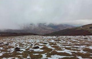 Ordu’da yaylalar renklendi