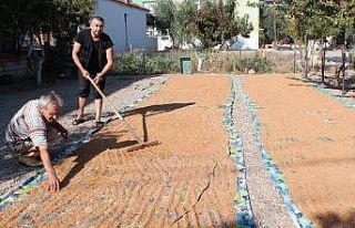 Organik susam ve haşhaş ezmesine talep arttı