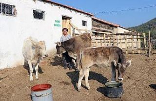 ORKÖY’den Aydın ve Muğla köylüsüne 4,5 milyon...