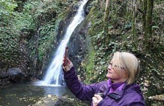 Ormanın içindeki gizli Cennet