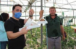 Örtüaltı üretimde entegre mücadele projesi