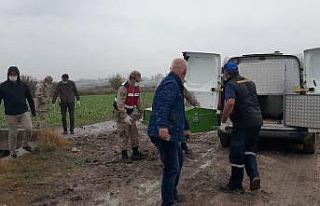 Osmaniye’de çifte cinayet