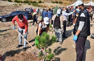 Osmaniye’de yangın sonrası ilk fidanlar toprakla...