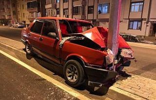Otomobil direğe çarptı: 2 yaralı