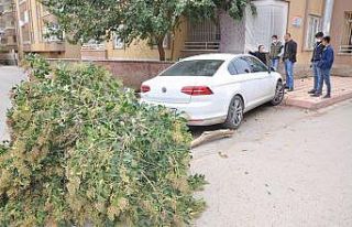 Otomobilin altında kalmaktan son anda kurtuldular