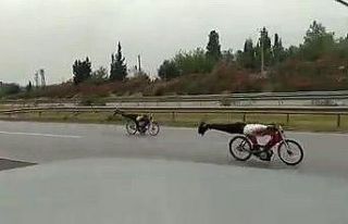 Otoyolda motosiklet yarışına 9 bin 750 lira ceza