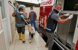 Oyuncu Hasan Kaçan’ın bulduğu hasta köpek tedavi...