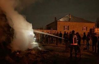 Özalp ilçesinde bin bağ ot yandı