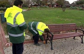 (ÖZEL) Büyükçekmece’de belediyeden bank operasyonu