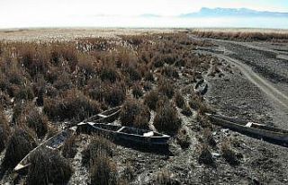 (Özel) Eber Gölü’nde ürkütücü kayık mezarlığı...