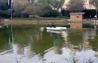 (Özel) Göletin ortasındaki yaralı martıya botla...