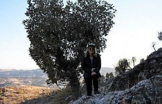(Özel haber) Doğaseverler, Güneydoğu’nun Kapadokya’sında