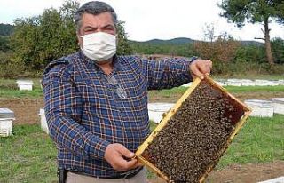 (Özel) Hobi amaçlı başladığı arıcılıkla...