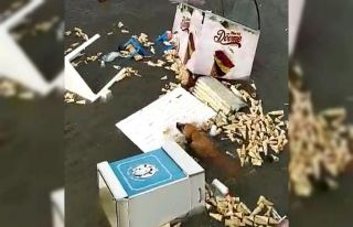 (Özel) İzmir’de tsunamide hayatta kalmaya çalışan...