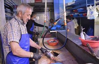 Pandemi dönemi siparişle balık satın alma talebini...