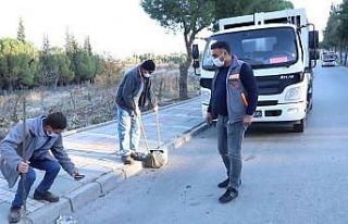 Parkta hayvanları beslerken cüzdanını kaybetti