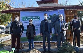 Pazarlar, Geleceğe Nefes için 200 fidan dikti