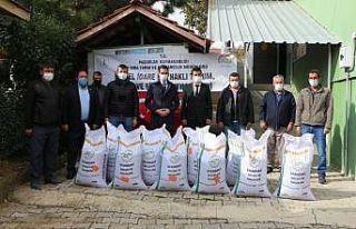 Pazarlar’da çiftçilere 4 bin 800 kilo Macar Fiğ...