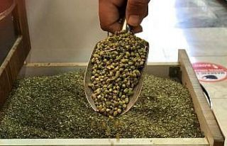 Pik yapan korona virüs salgını ile kekiğe talep...