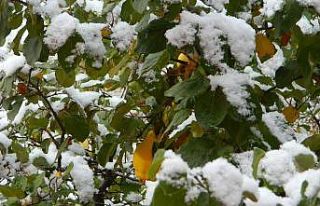 Posof güne karla uyandı