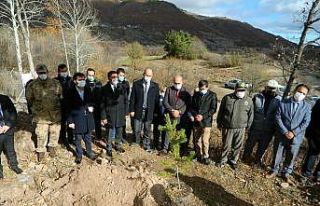 Posof’ta 500 fidan dikildi