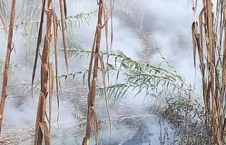 Reenjekte vanasının arızası onarıldı, sorun...