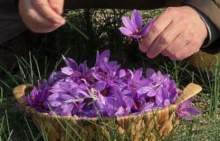 Safranbolu ziyaretinde ilgisini çekti, emekli olduktan...