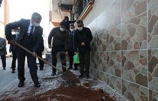 Şahinbey’de 5 bin adet asma fidanı dikildi