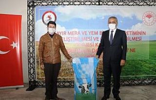 Samsun’da çiftçilere 65 bin 400 kilo yem bitkisi...