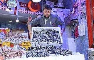 Samsun’da hamsi 10 TL’ye düştü, tezgahlar şenlendi