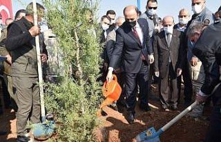 Şanlıurfa’da binlerce fidan toprakla buluştu