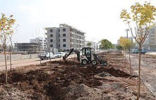 Şanlıurfa’da örnek bir proje hayata geçiyor