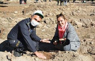 Sarıkamış’ta yaban hayvanları için meyve tohumu...
