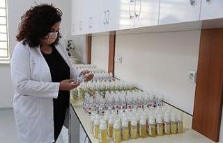 Şarkılara-türkülere konu olan Madımak el dezenfektanı...