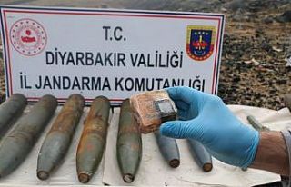 Şehirleri kana bulayacaklardı, jandarmanın dikkati...