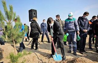 Şehitkamil’de milyonlarca metrekare yeşil alan...