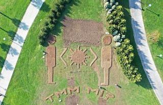 Sekapark’a 115 bin lale ekildi