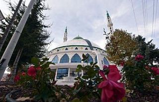 Selçuklu’da cami avluları yeşile bürünüyor