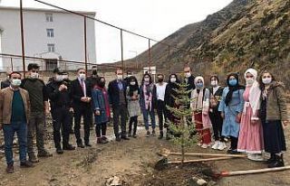 Şemdinli’de fidan dikimi