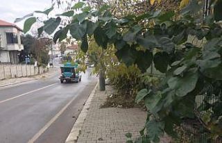 Serdivan’da kışa hazırlık çalışmaları