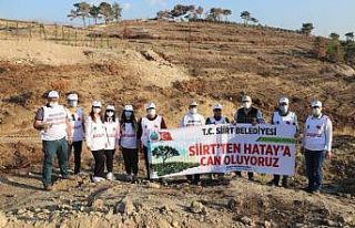 Siirt Belediyesi, Hatay’da PKK’nın yaktığı...
