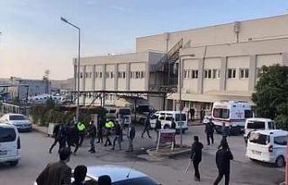 Siirt’te köylüler arasında arazi kavgası: 6...