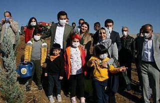 Silvan’da 40 bin fidan dikildi