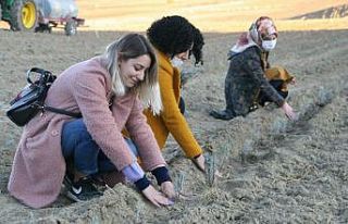 Silvan’da lavantalar kadın eliyle toprakla buluştu