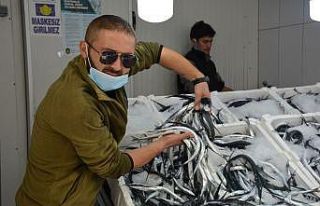 Sinop’ta zargana bereketi